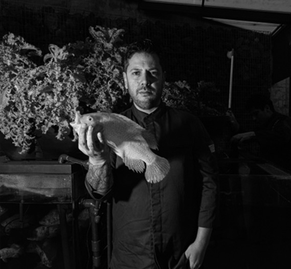Diego Gallegos