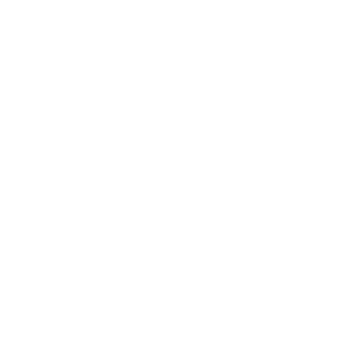 logo enclave 2026 negativo footer